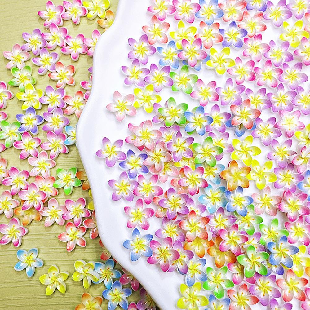 50 Adet 3D Degrade Plumeria Çi - Resin Art Workshop incelemesi ve fiyatı