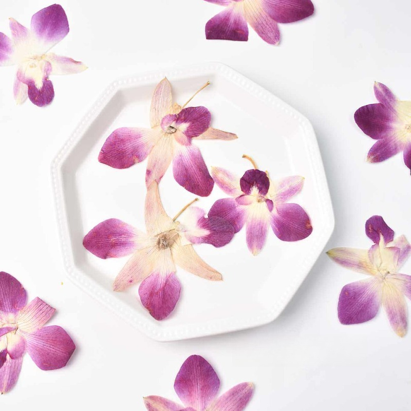 4 adet, Gerçek Preslenmiş Kele - Resin Art Design incelemesi ve fiyatı