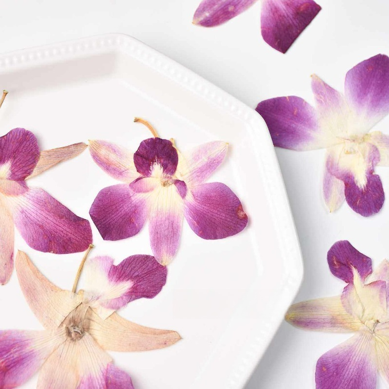 4 adet, Gerçek Preslenmiş Kele - Resin Art Design incelemesi ve fiyatı