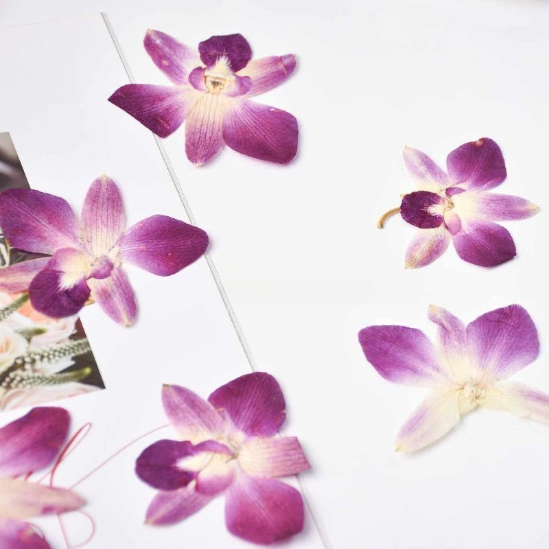 4 adet, Gerçek Preslenmiş Kele - Resin Art Design incelemesi ve fiyatı